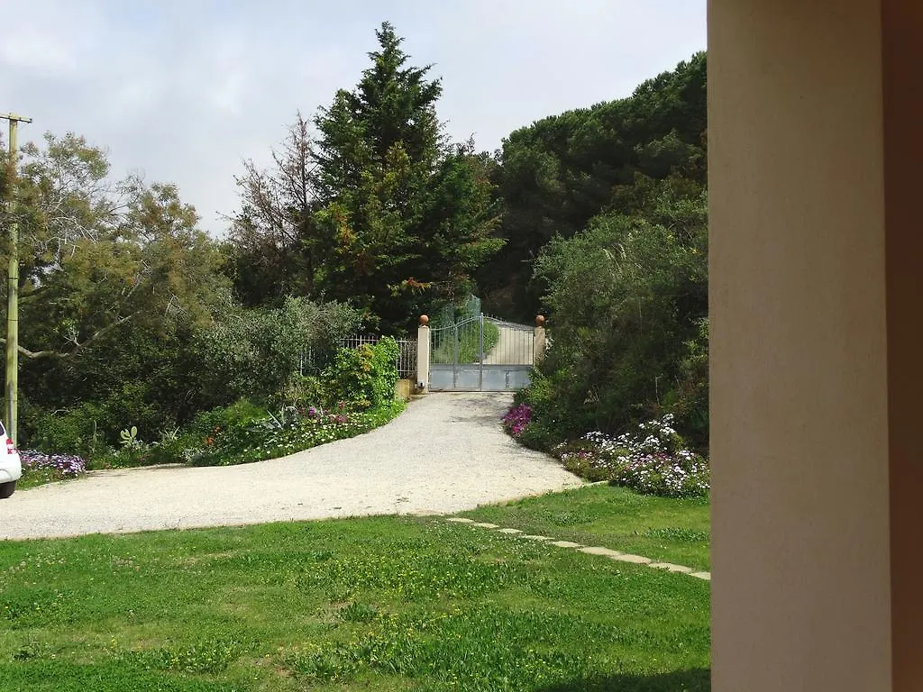 Villa Gemma بورتو أتْسورّو 0*,